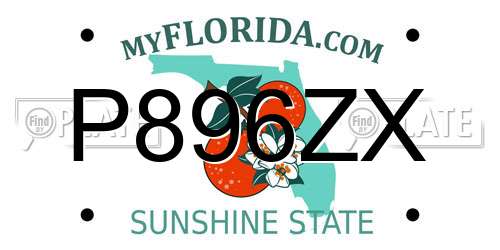 P896ZX Florida License Plate