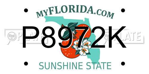 P8972K Florida License Plate