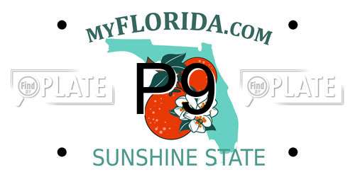 P9 Florida License Plate