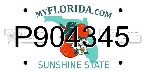 P904345 Florida License Plate