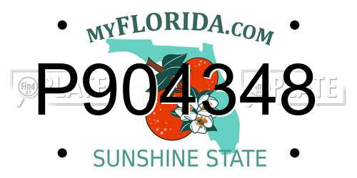 P904348 Florida License Plate