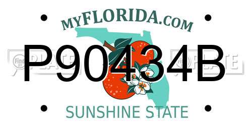 P90434B Florida License Plate