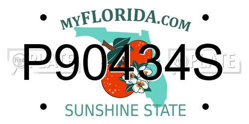 P90434S Florida License Plate