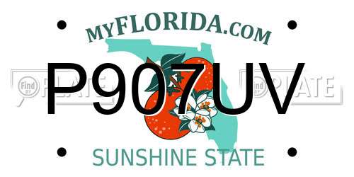 P907UV Florida License Plate