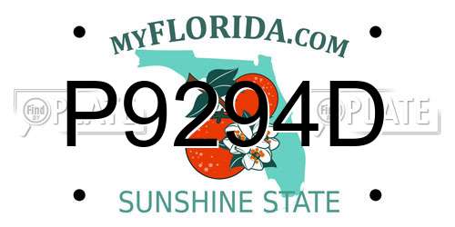 P9294D Florida License Plate