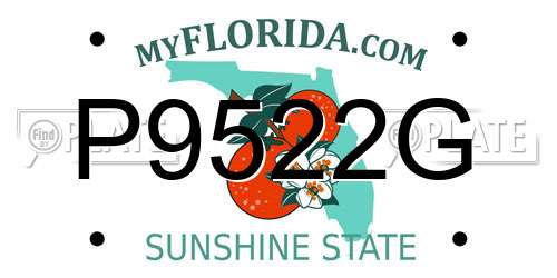 P9522G Florida License Plate
