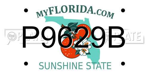 P9629B Florida License Plate