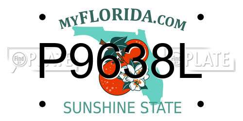 P9638L Florida License Plate