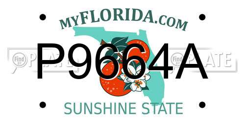 P9664A Florida License Plate