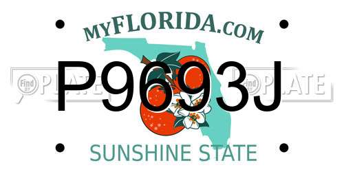 P9693J Florida License Plate