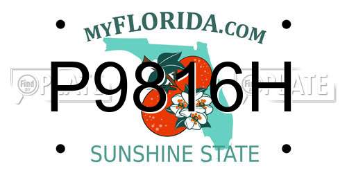 P9816H Florida License Plate