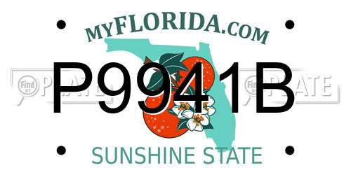 P9941B Florida License Plate