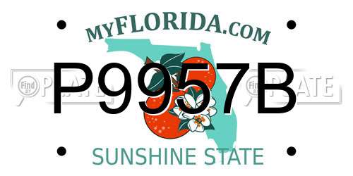 P9957B Florida License Plate
