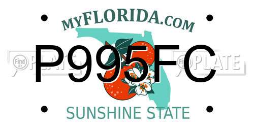 P995FC Florida License Plate