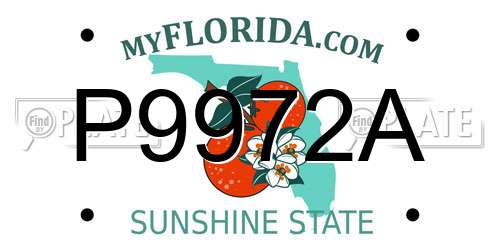 P9972A Florida License Plate