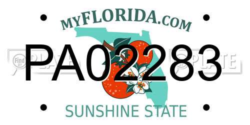 PA02283 Florida License Plate