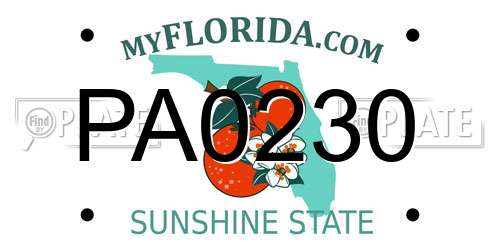 PA0230 Florida License Plate