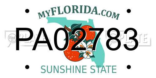 PA02783 Florida License Plate