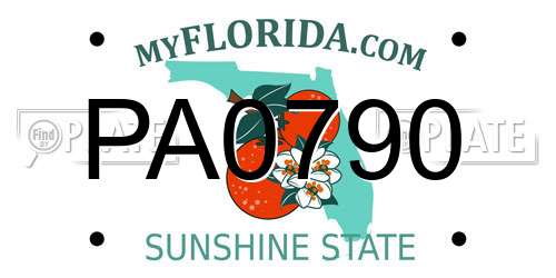PA0790 Florida License Plate
