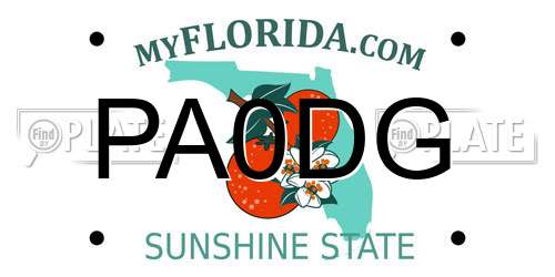 PA0DG Florida License Plate