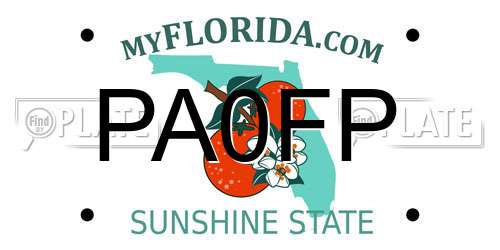 PA0FP Florida License Plate
