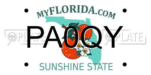PA0QY Florida License Plate