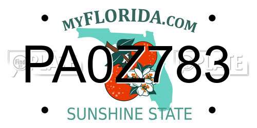 PA0Z783 Florida License Plate