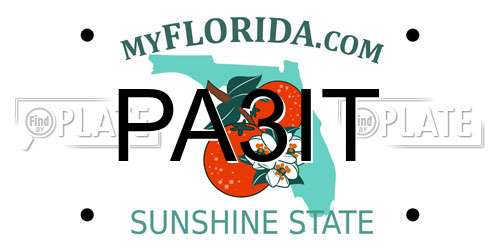 PA3IT Florida License Plate
