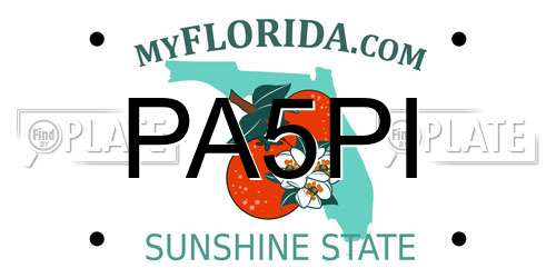 PA5PI Florida License Plate
