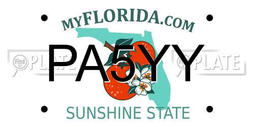 PA5YY Florida License Plate
