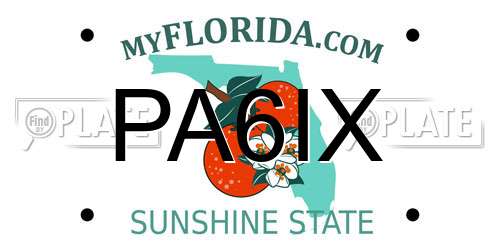 PA6IX Florida License Plate
