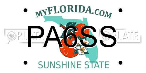 PA6SS Florida License Plate
