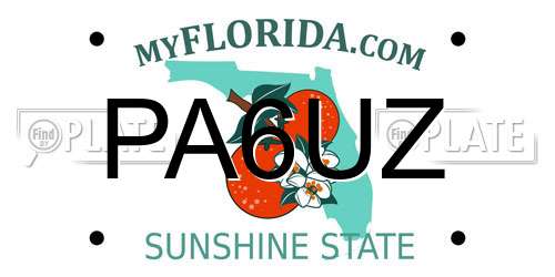 PA6UZ Florida License Plate