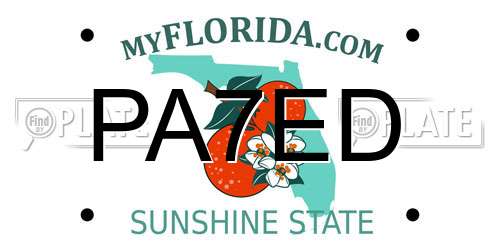 PA7ED Florida License Plate