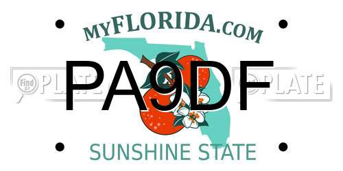 PA9DF Florida License Plate