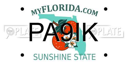 PA9IK Florida License Plate