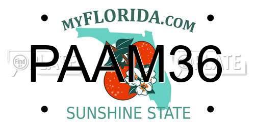 PAAM36 Florida License Plate