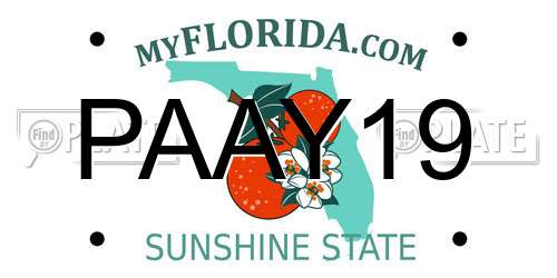 PAAY19 Florida License Plate