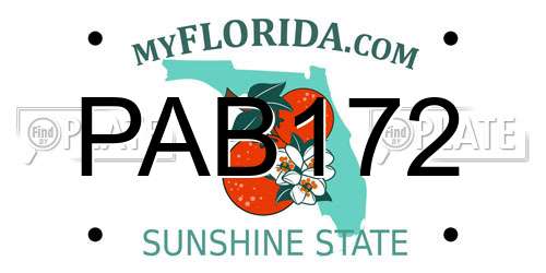 PAB172 Florida License Plate