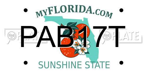 PAB17T Florida License Plate