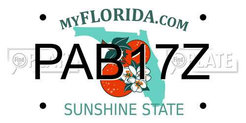 PAB17Z Florida License Plate