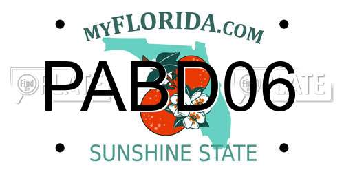 PABD06 Florida License Plate