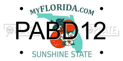 PABD12 Florida License Plate