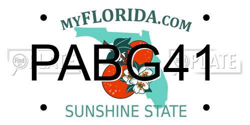 PABG41 Florida License Plate