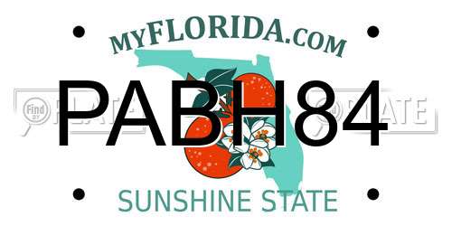 PABH84 Florida License Plate