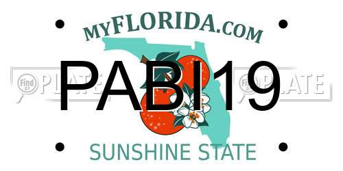 PABI19 Florida License Plate