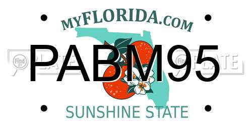 PABM95 Florida License Plate