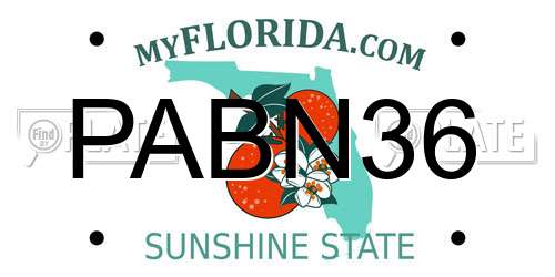 PABN36 Florida License Plate