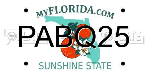 PABQ25 Florida License Plate