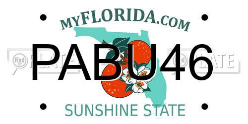 PABU46 Florida License Plate